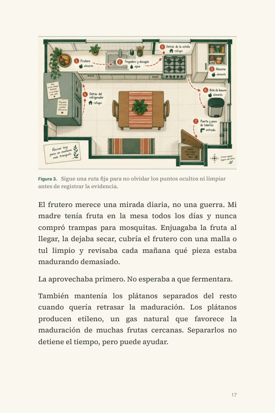 Ruta fija para revisar la cocina