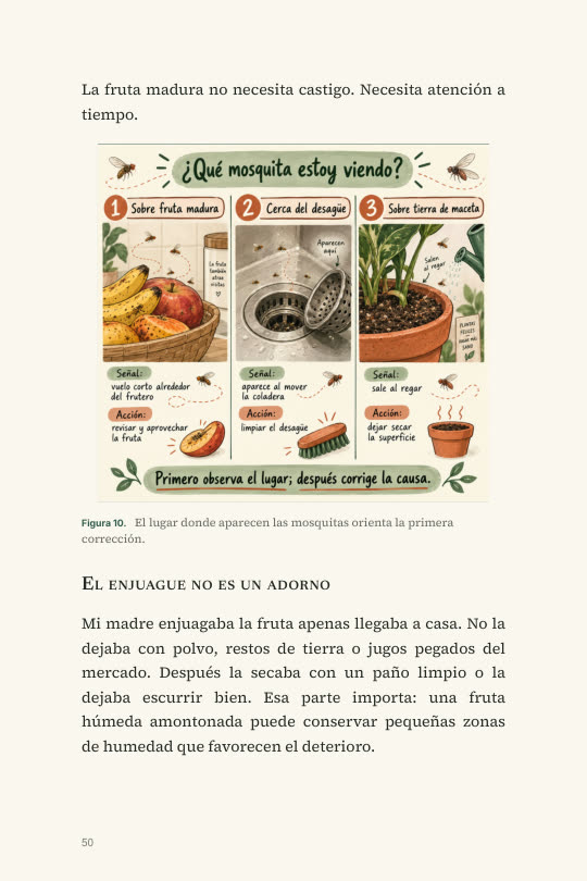 ¿Qué mosquita estoy viendo?